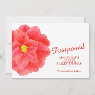 Postponed red camellia wedding cancellation announcement