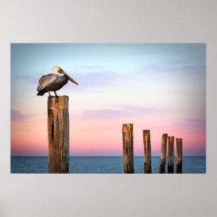 Posts & a Pelican Fort Myers Beach, Florida Poster