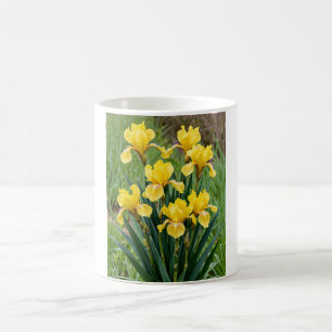 Posy of passion coffee mug