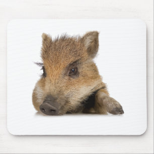 pot bellied pig piglet vector mouse pad