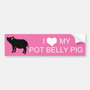 Pot Belly Pig Bumper Sticker