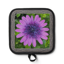 Pot Holder with Purple African Daisy