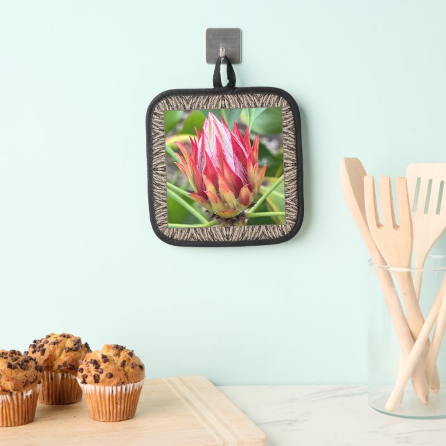 Pot Holder with Stunning Protea (Insitu(Hanging))
