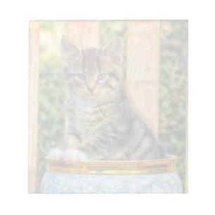 Pot Of Baby Kitten Notepad