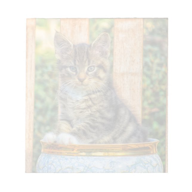 Pot Of Baby Kitten Notepad (Front)