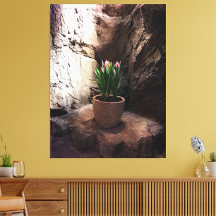 Pot of Tulips in a Grotto Canvas Print