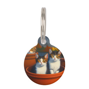 Pot Plant Kittens, Pet Tag