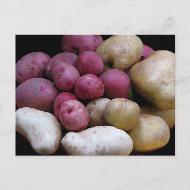 Potato Postcard (Front)