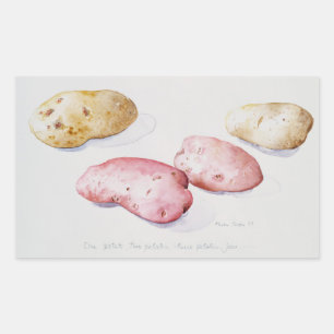 Potato Study 1993 Rectangular Sticker