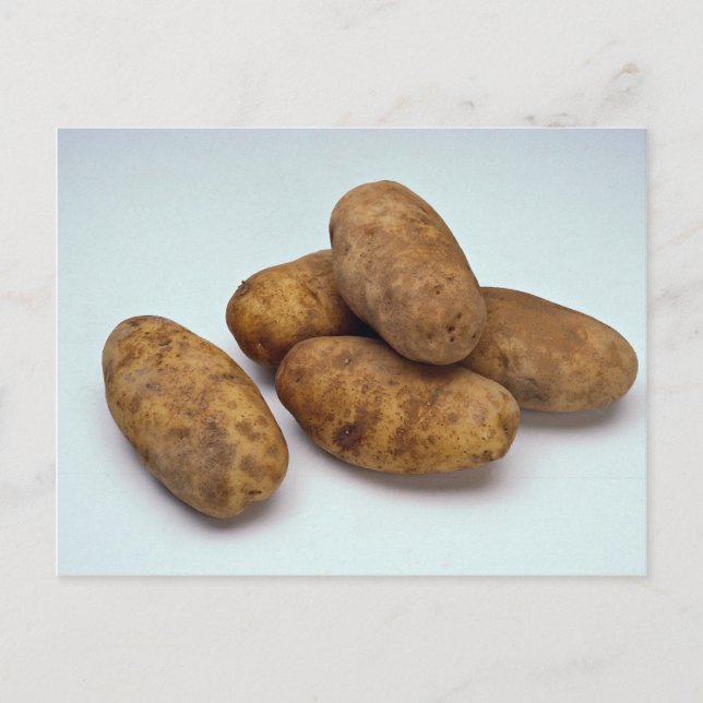 Potatoes Postcard (Front)