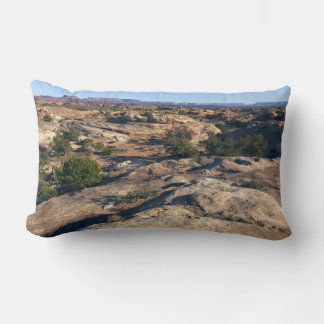 Pothole Point Trail at Canyonlands National Park Lumbar Cushion