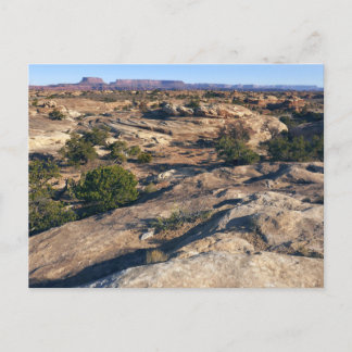 Pothole Point Trail at Canyonlands National Park Postcard