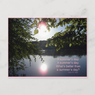 Potomac Summer Day Postcard