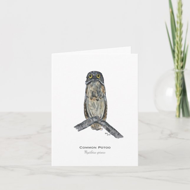 Potoo Bird Folded Note Card (Front)