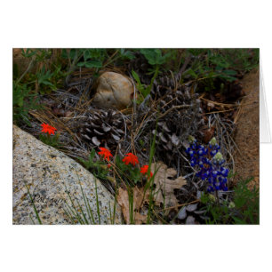 Potpourri