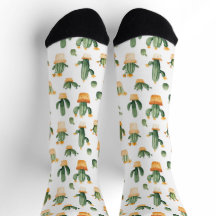 Potted Cactus on White