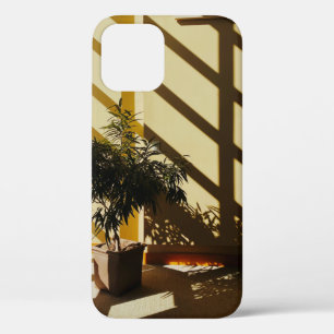 Potted green plant on brown wooden table iPhone 12 case