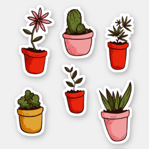 Potted House Plants and Succulents Pack