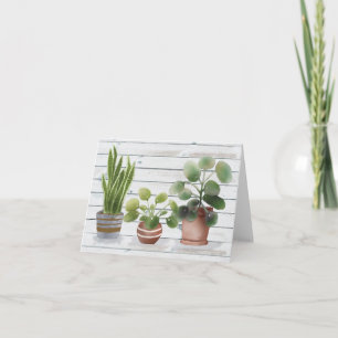 Potted Houseplants Pilea and Snake Plant Blank Note Card
