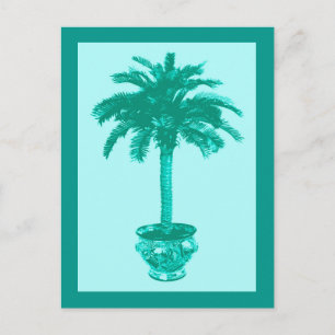 Potted Palm Tree, Turquoise and Aqua Postcard