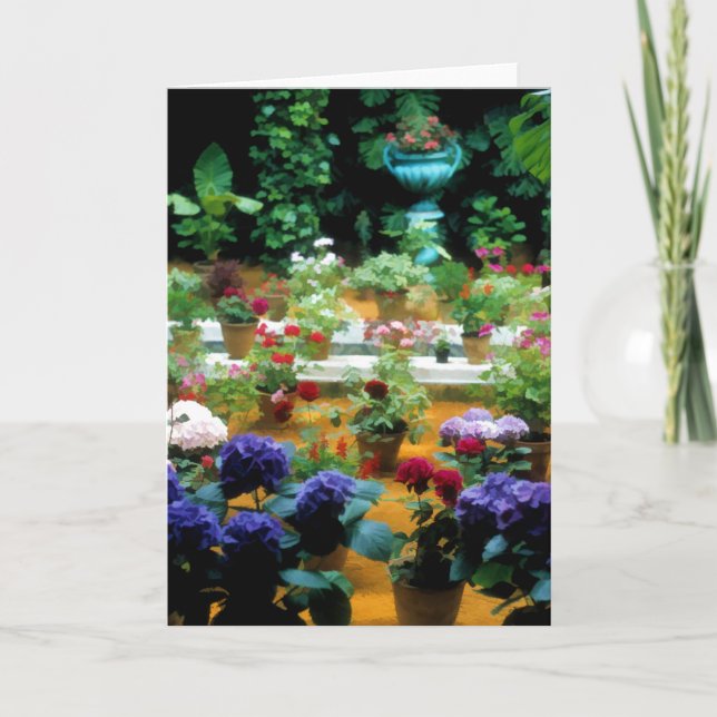 Potted Plants in Beautiful Garden in Seville Spain Card (Front)