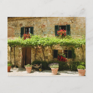 Potted plants outside a house, Piazza Roma, Postcard