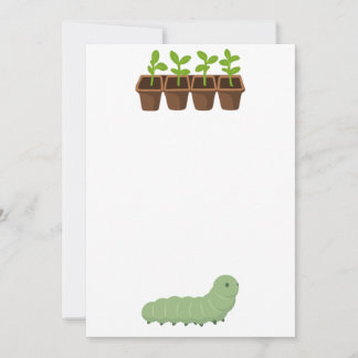 Potted Plants with A Caterpillar Invitation