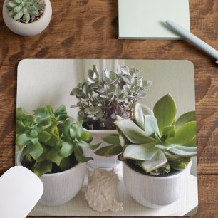Potted Succulents in White with Seashell Mouse Pad