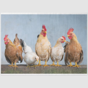 Poultry Chickens Farm 2 Decoupage Tissue Paper