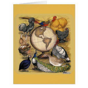 Poultry of the World