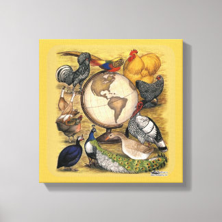 Poultry of the World Canvas Print