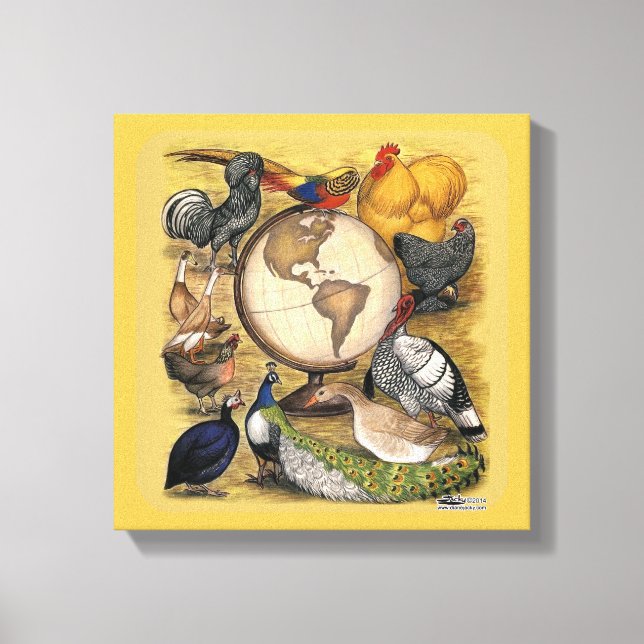 Poultry of the World Canvas Print (Front)