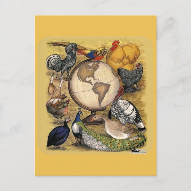 Poultry of the World Postcard (Front)