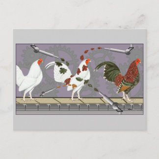 Poultry Painter Postcard