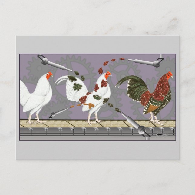 Poultry Painter Postcard (Front)