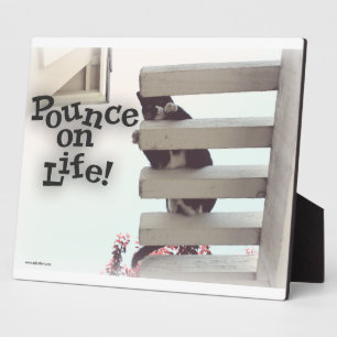 Pounce On Life Motivational Cat Photo Quote Plaque