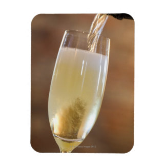 Pouring champagne magnet
