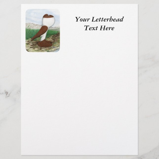 Pouter Pigeon Red Hana (Front)