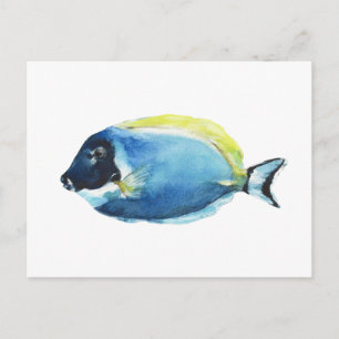 Powder Blue Tang Fish Postcard
