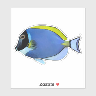 Powder Blue Tang sticker
