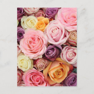 Powder coloured roses by Therosegarden Postcard