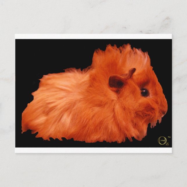 Powder Puff Postcard (Front)