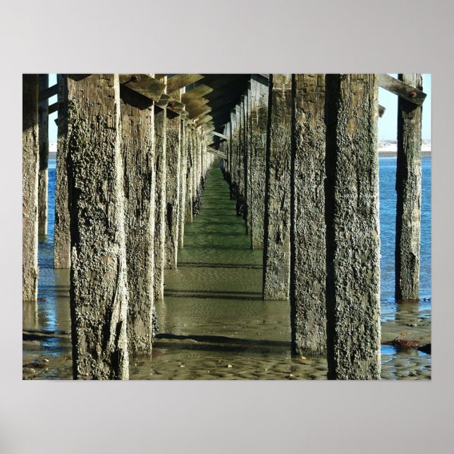 powderpoint bridge duxbury ma. poster (Front)