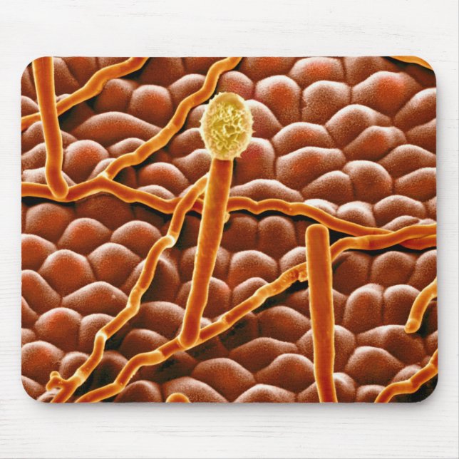 Powdery Mildew Fungus on Poinsettia Mouse Pad (Front)