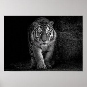 Power and Presence - Monochrome Tiger Wildlife Poster