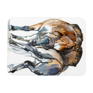 Power Dance Magnet