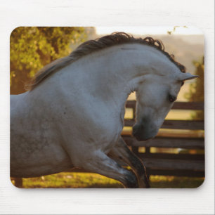 Power Of An Andalusian Mare Mouse Pad