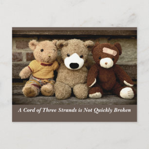 Power of Friendship Ecclesiastes 4:12 Postcard