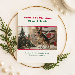 Powered by Christmas Chaos Funny Dog Pet Photo Holiday Postcard