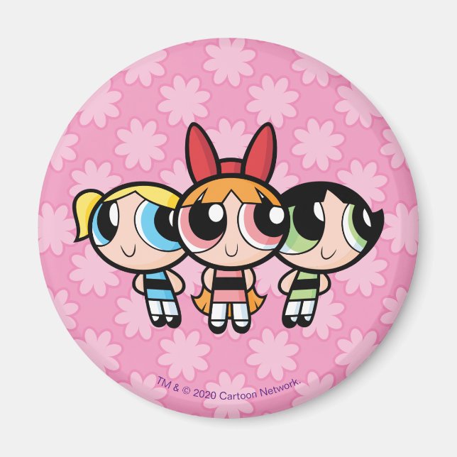 Powerpuff Girls: Sugar, Spice and Everything Nice Magnet (Front)
